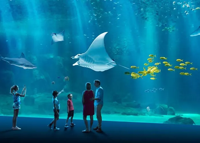 L'hippocampe, Terrasse, A 5 Min' A Pieds De La ! Tatil Evi *