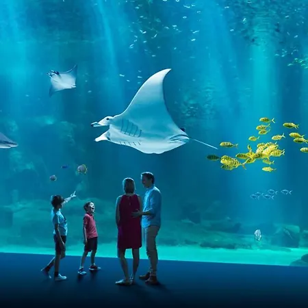 L'hippocampe, Terrasse, A 5 Min' A Pieds De La ! Semesterbostad *